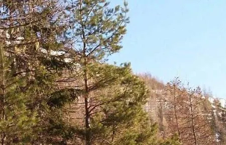 Le Du Rocher - * Auzat