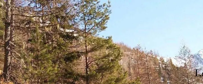 Le Du Rocher - * オザ